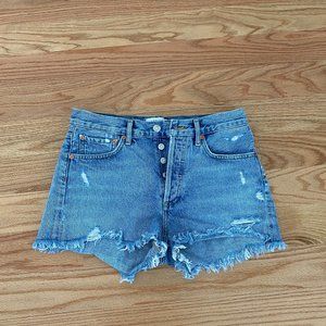 AGOLDE Parker vintage short